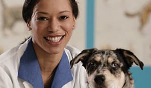 Illinois State Veterinary Medical Association within the Springfield Region